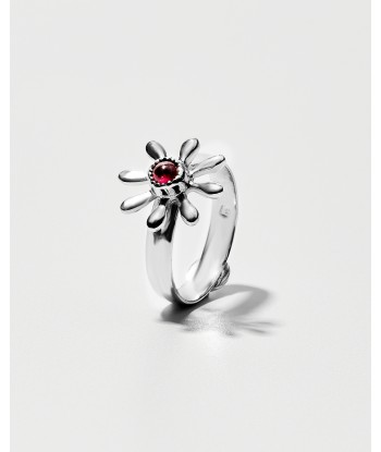 Flowery Collection ,...