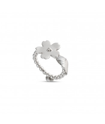 Flowery Collection- Silver...